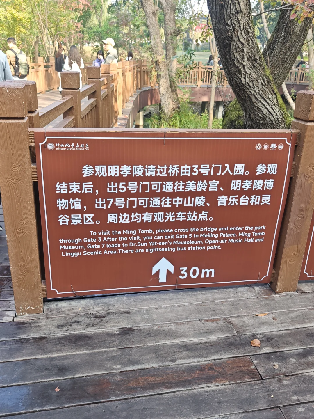 广东人两天南京赏秋