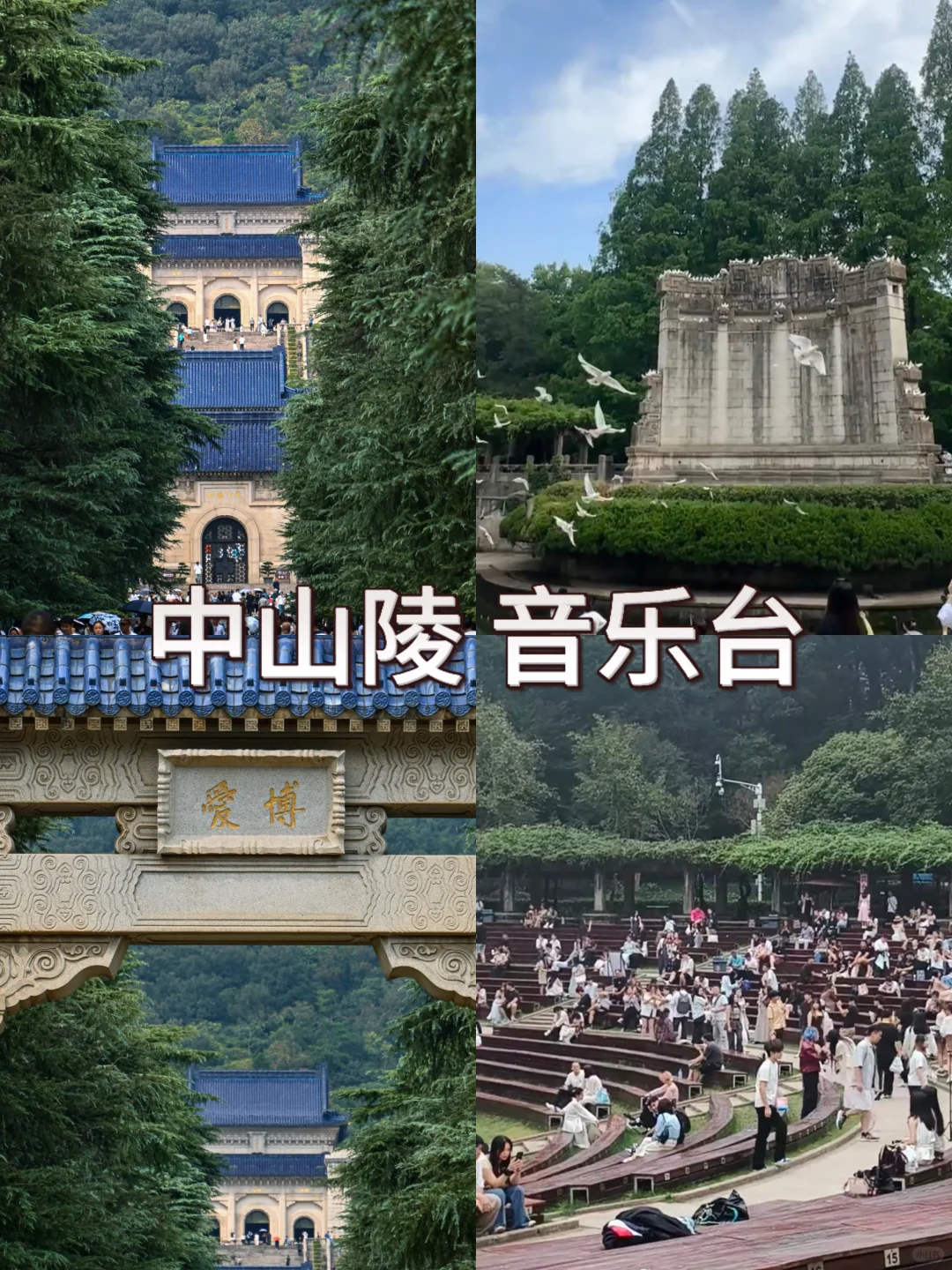 南京📍三天两夜超详细攻略🔥速速码住..