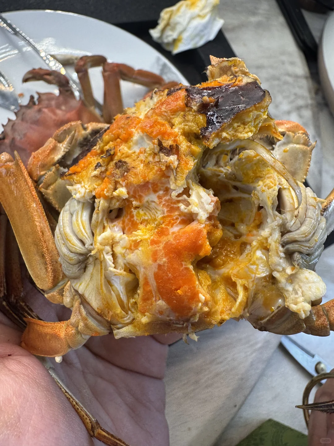 南京固城湖的大闸蟹才是秋天的顶流！🦀