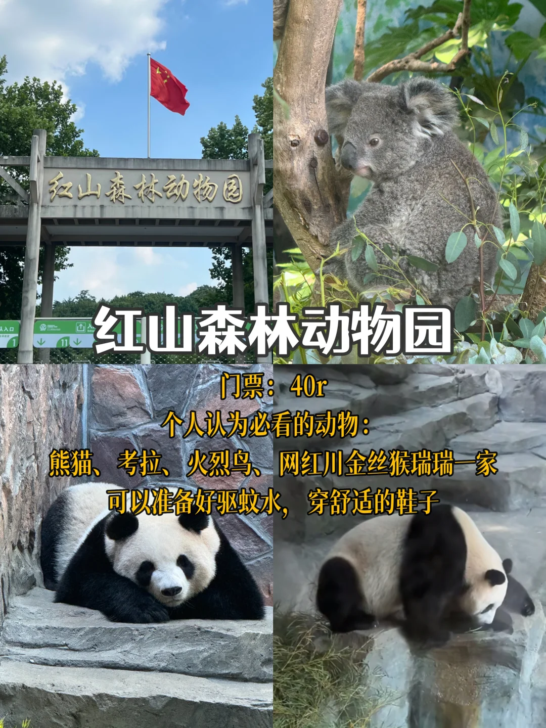 南京📍3天2夜 必去景点经典citywalk路线🏝️