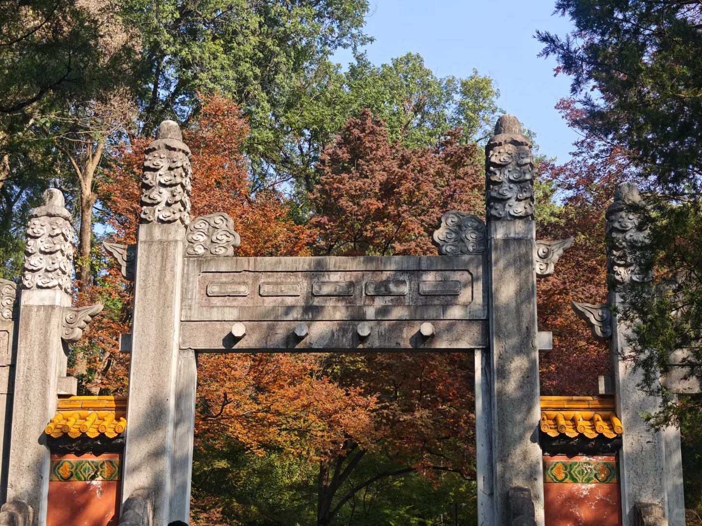 广东人两天南京赏秋