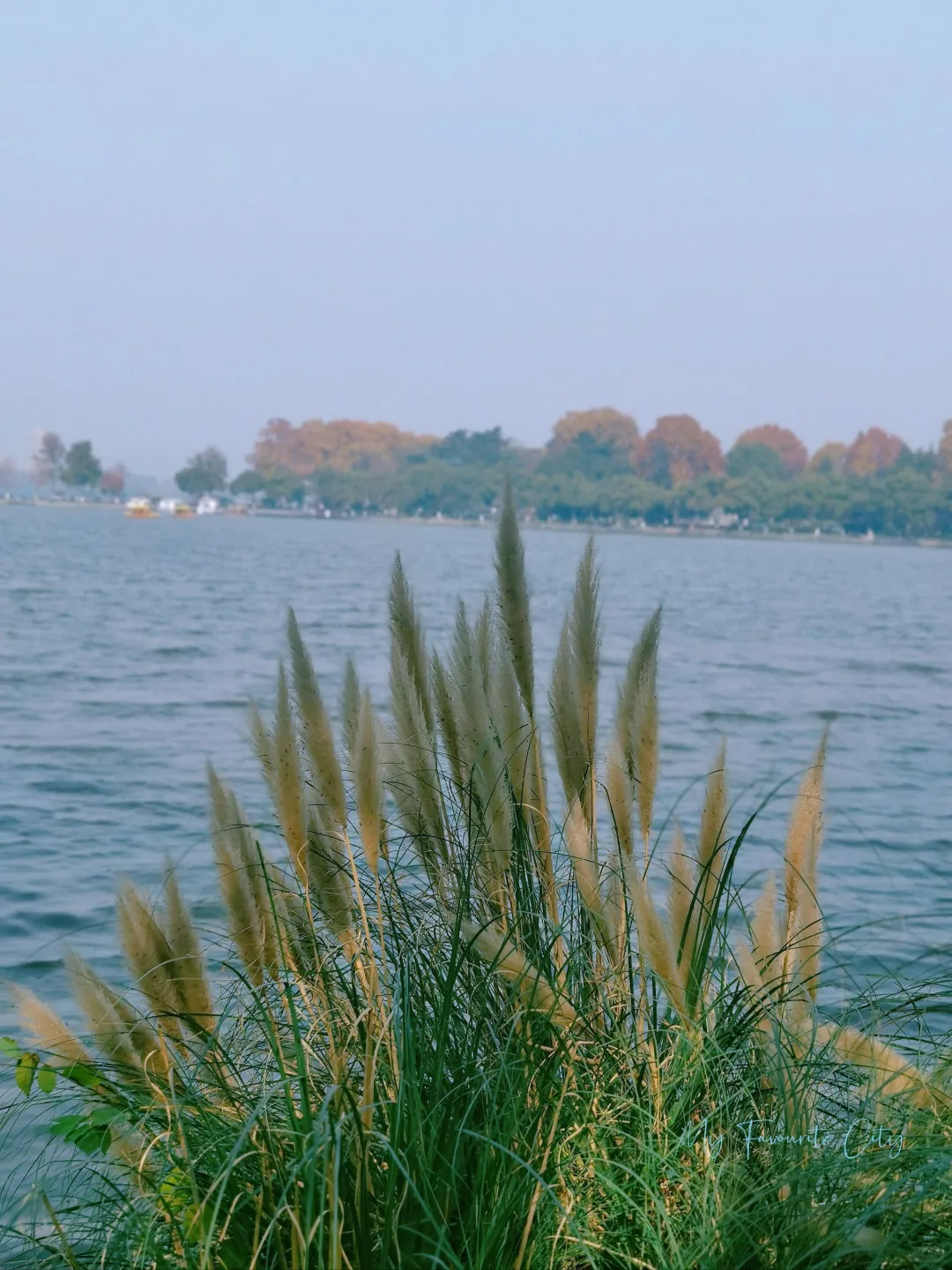 🍂南京三日游｜解锁金陵城的秋日浪漫🍂