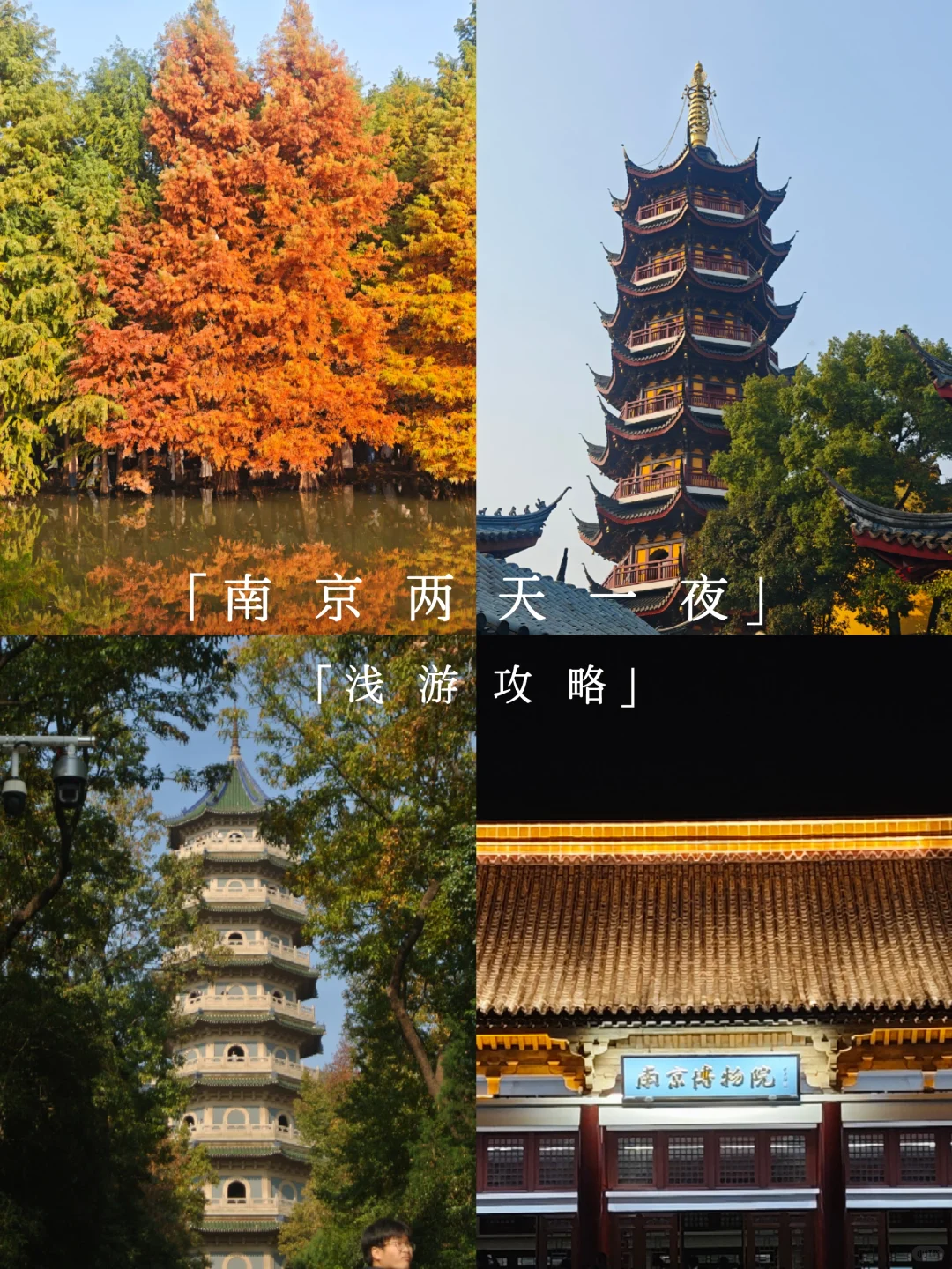 广东人两天南京赏秋