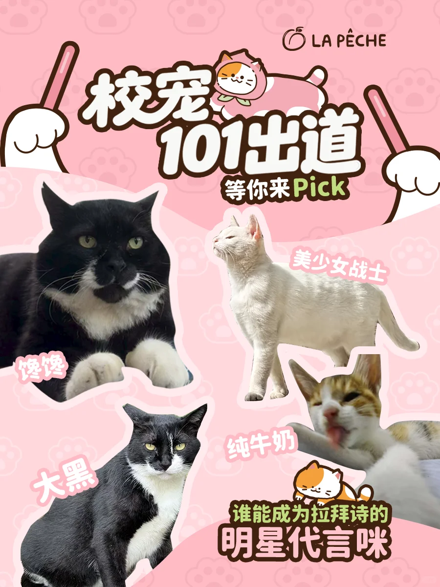 急！在线寻找一位未来巨星！（南京高校版1️⃣