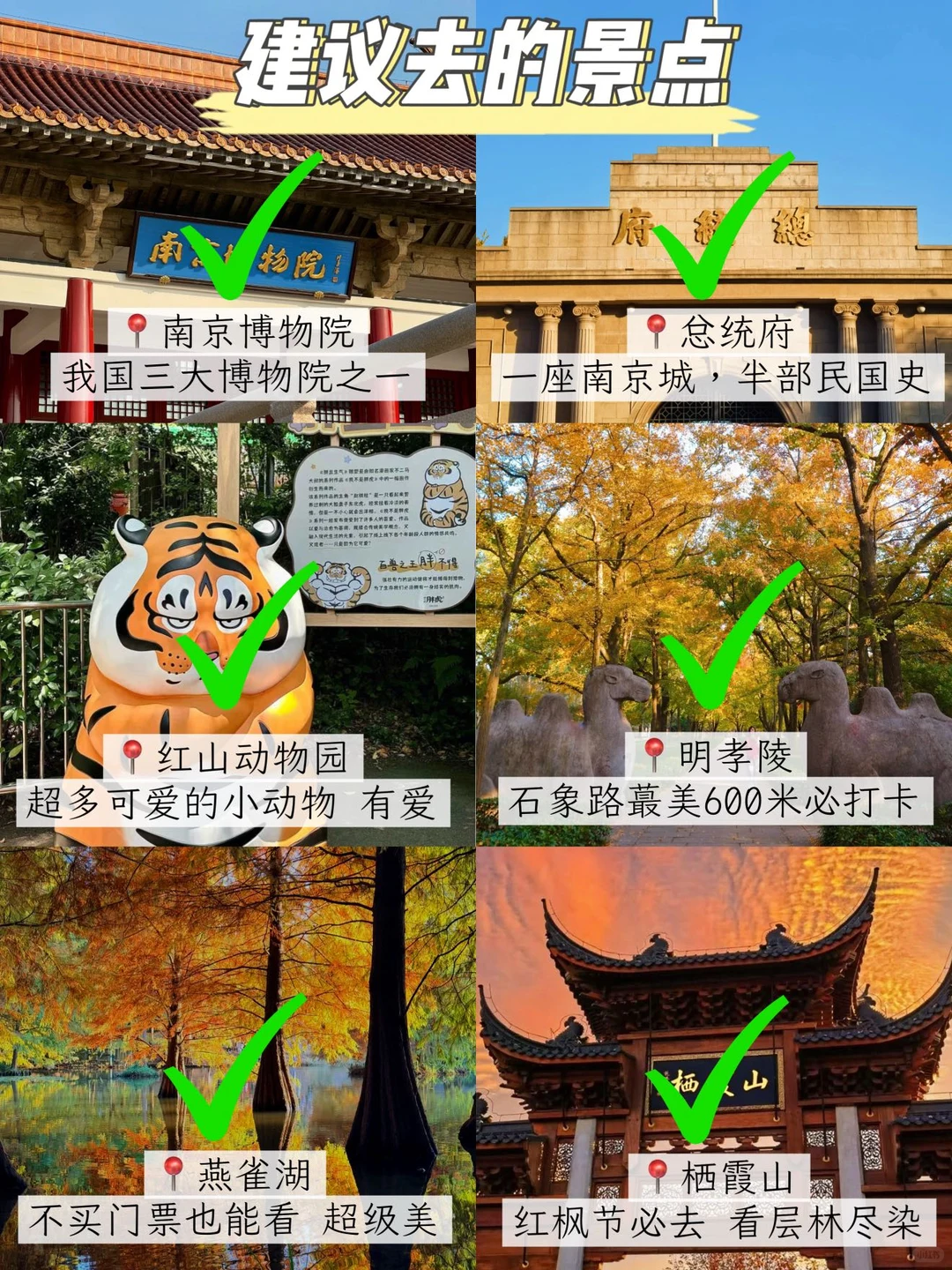 📌11.15南京旅游已回。两个人都奔溃了😭