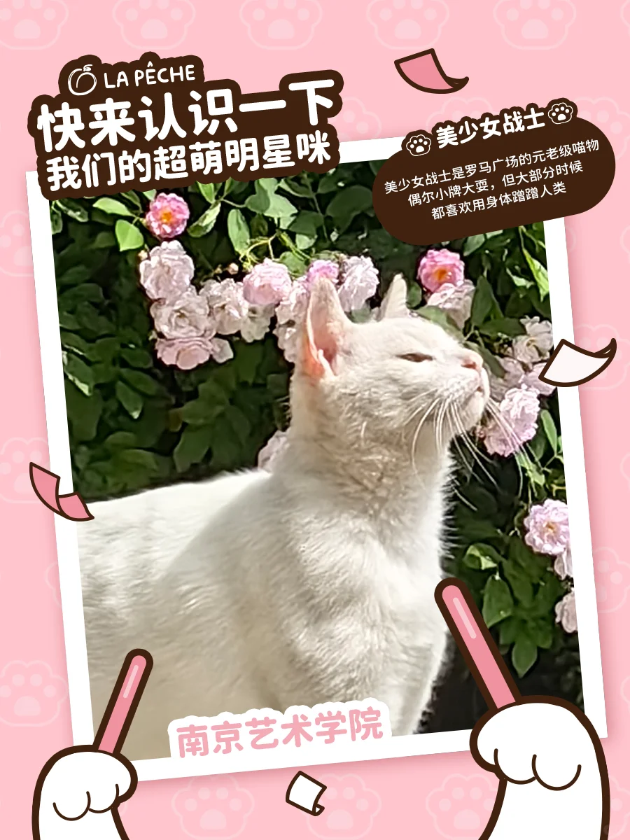 急！在线寻找一位未来巨星！（南京高校版1️⃣