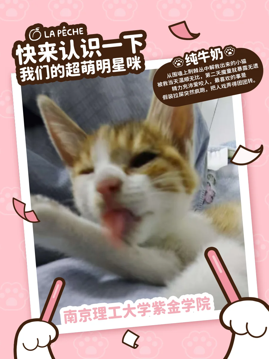 急！在线寻找一位未来巨星！（南京高校版1️⃣