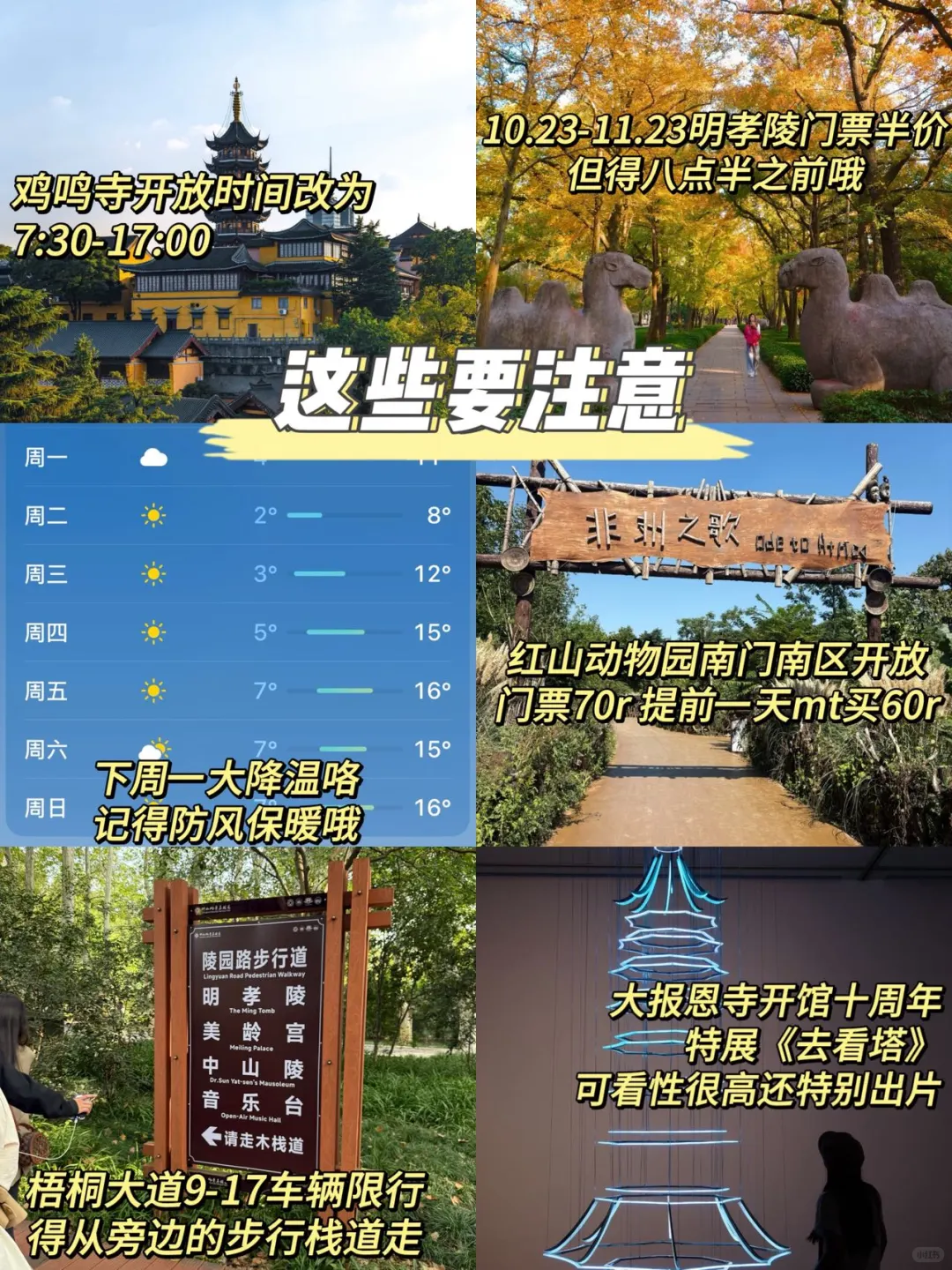 📌11.15南京旅游已回。两个人都奔溃了😭
