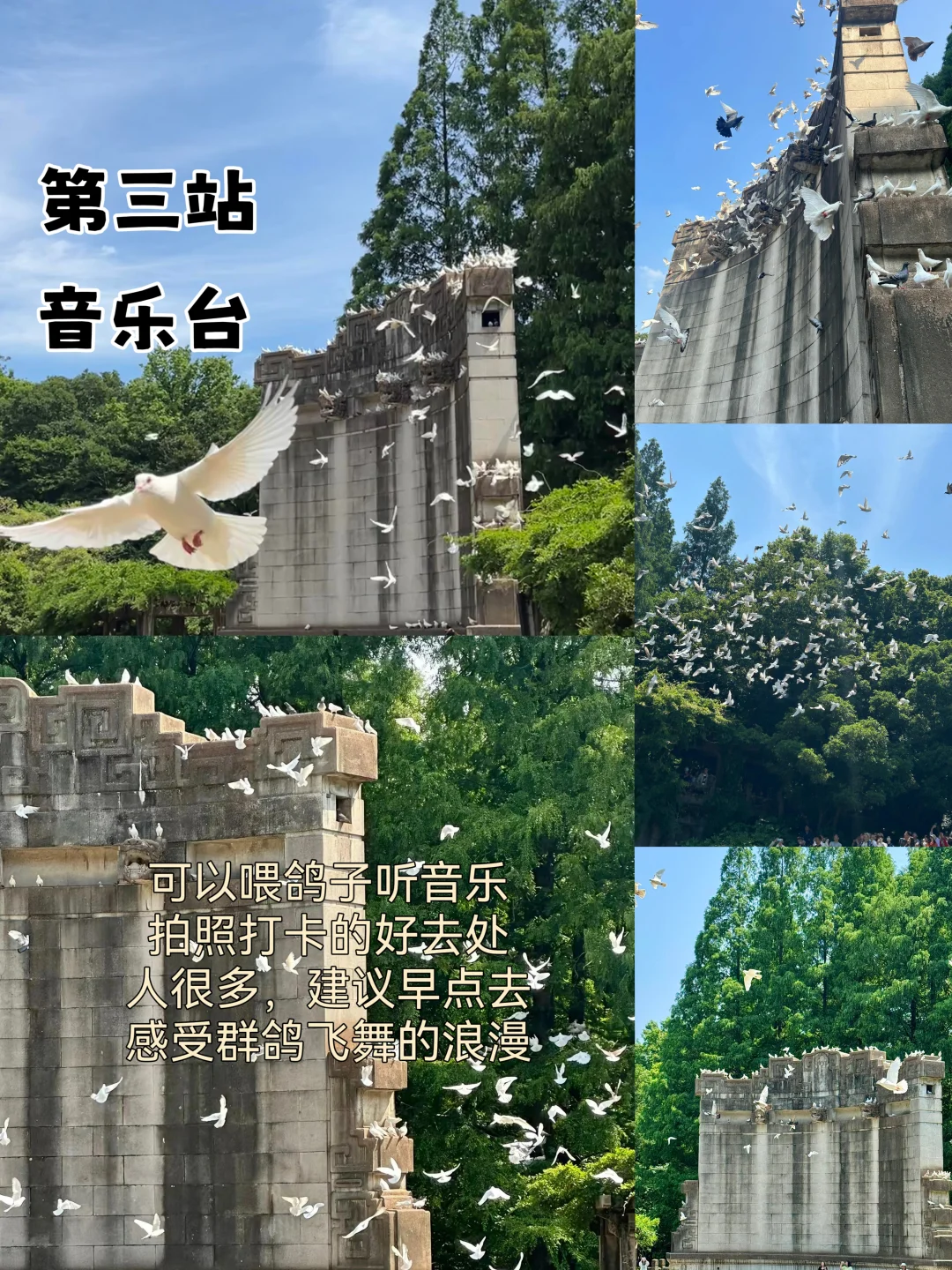 04男大📍南京两天一夜｜保姆级详细版攻略
