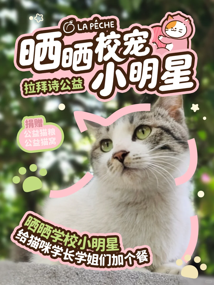 猫猫照片！可以兑换真实猫粮了！