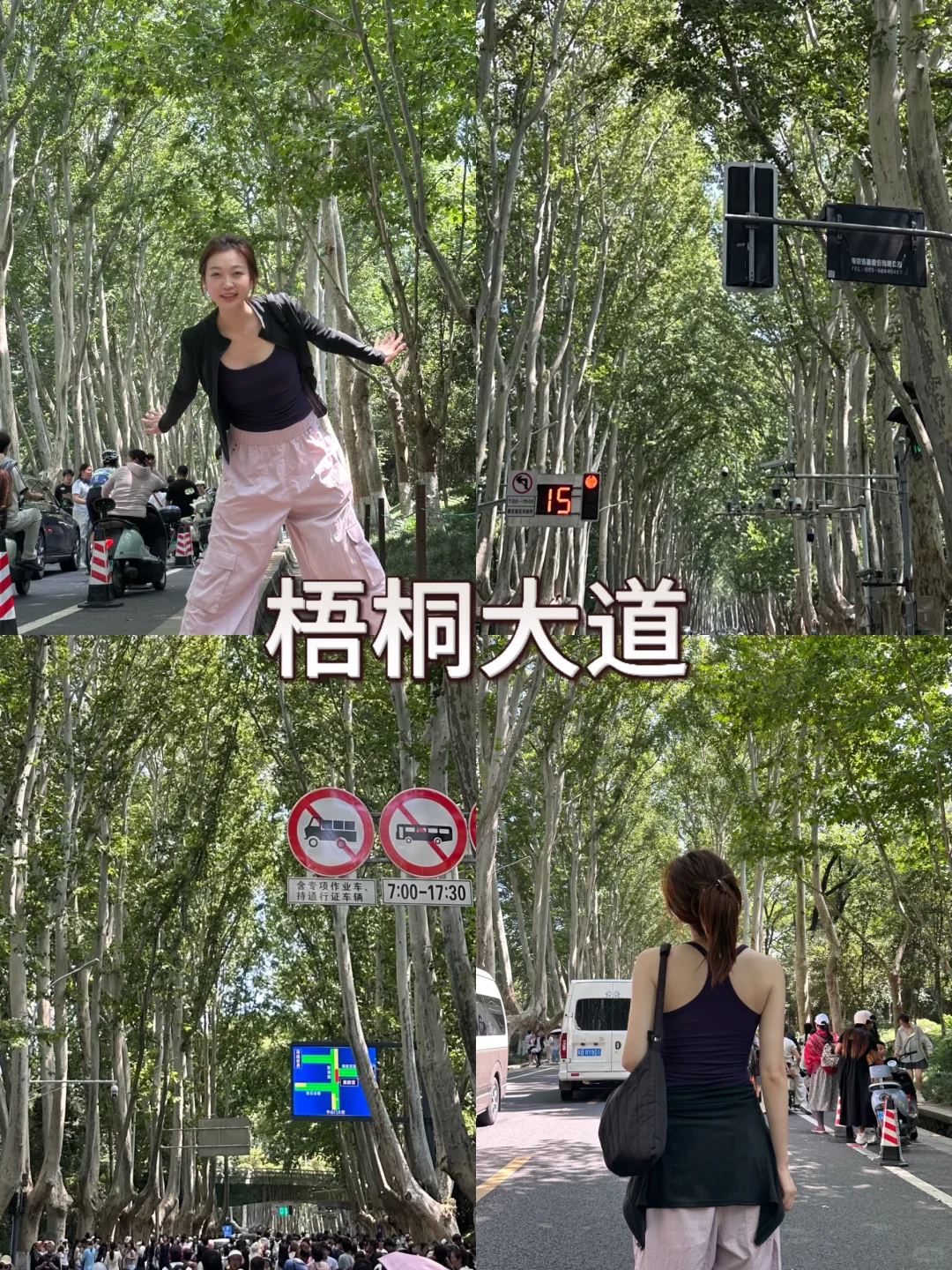 南京📍三天两夜超详细攻略🔥速速码住..