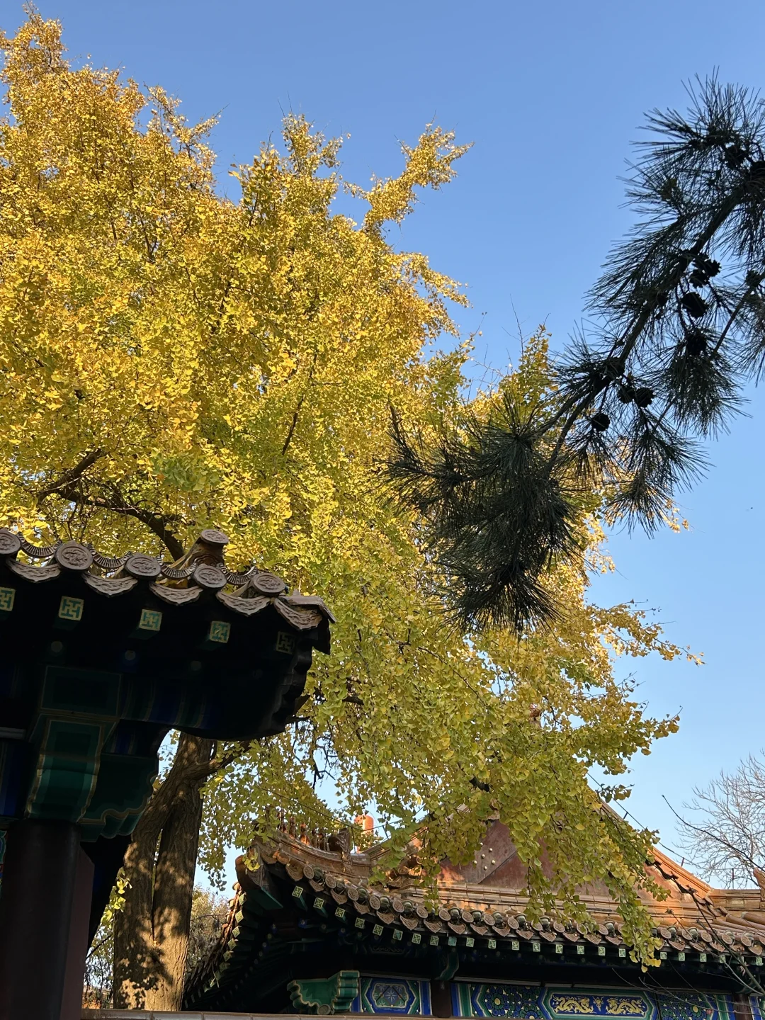 徐州2天1晚流水账