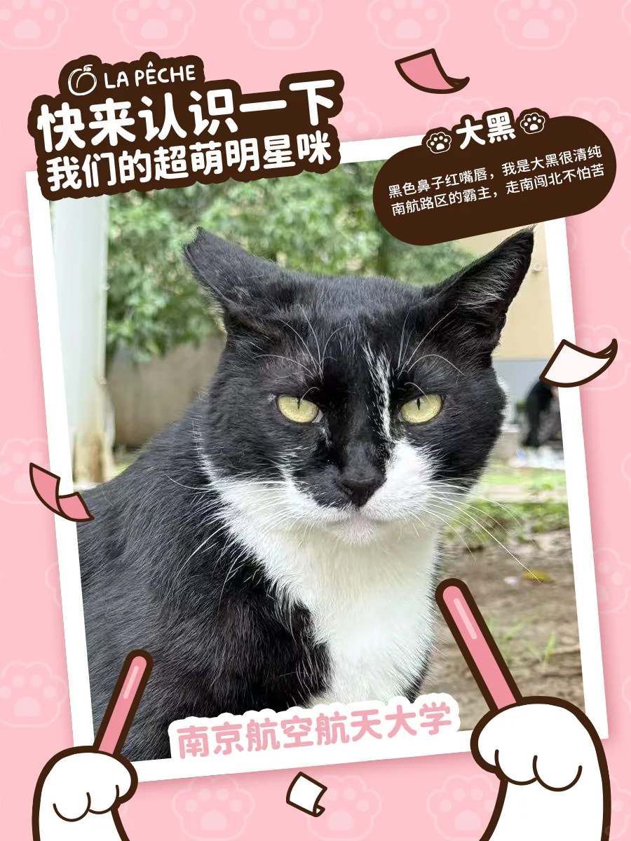 急！在线寻找一位未来巨星！（南京高校版1️⃣
