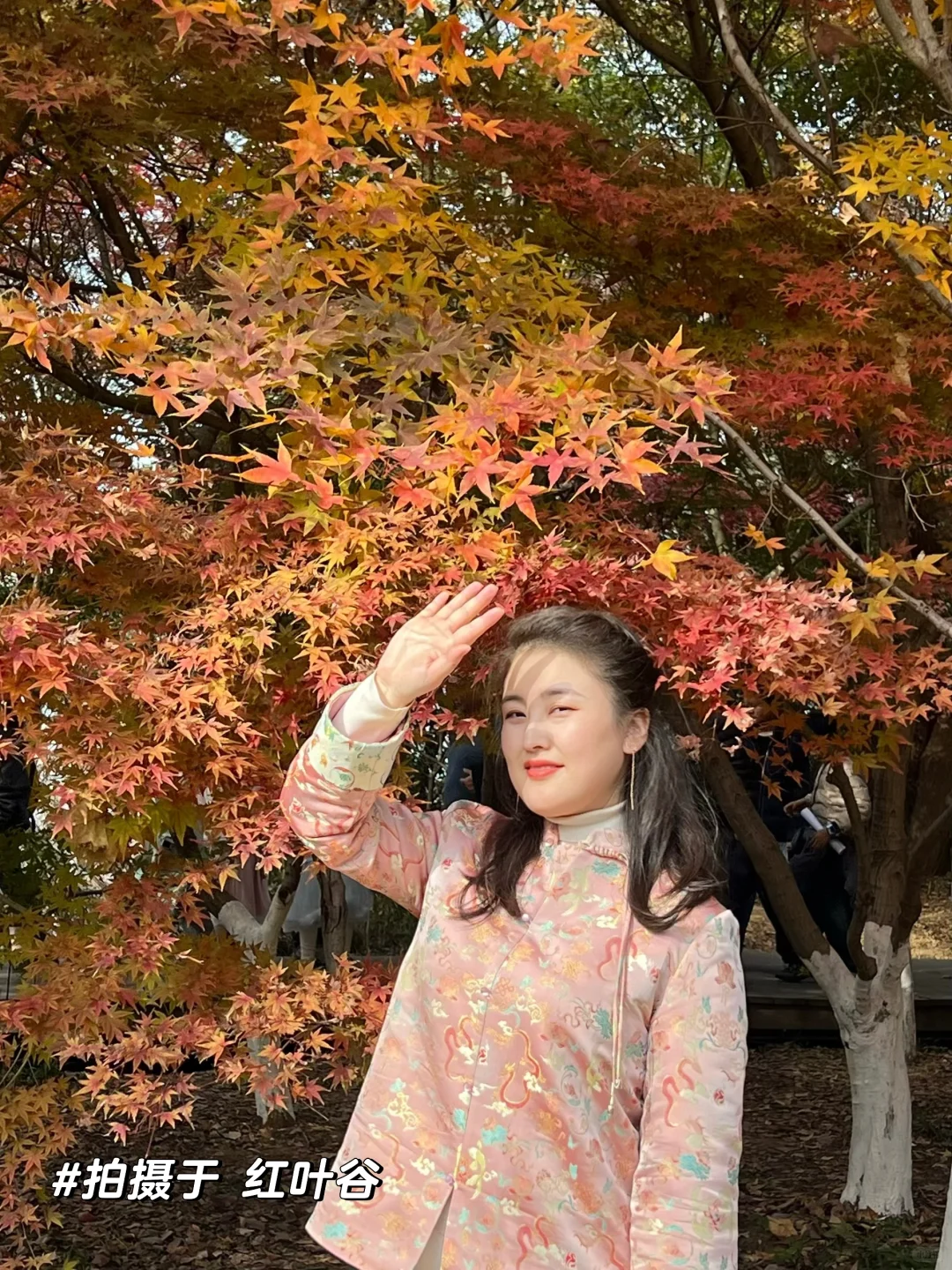 2025.11.23|栖霞山红枫现状🍁含游玩攻略!
