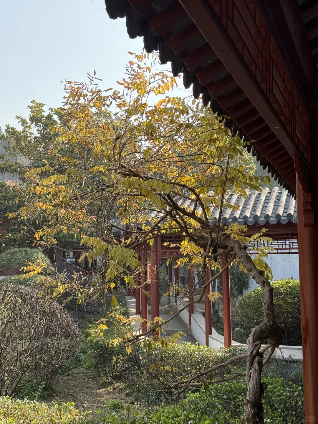 龟山汉墓：徐州人不可错过的历史遗迹❗