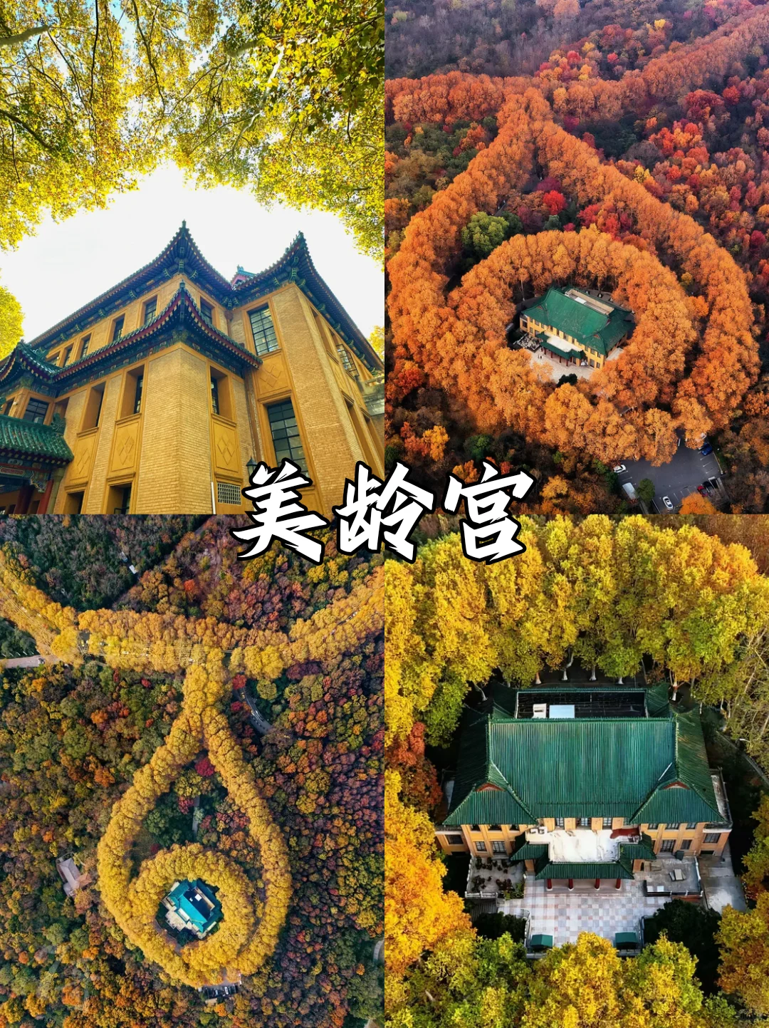 深秋限定❗南京9⃣大绝美赏秋地来袭🍂