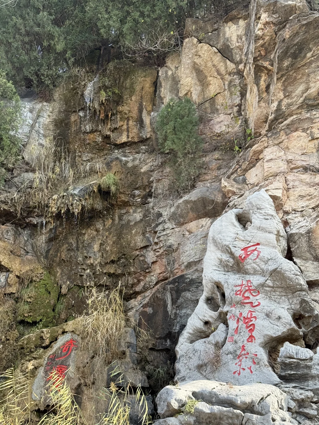 龟山汉墓：徐州人不可错过的历史遗迹❗