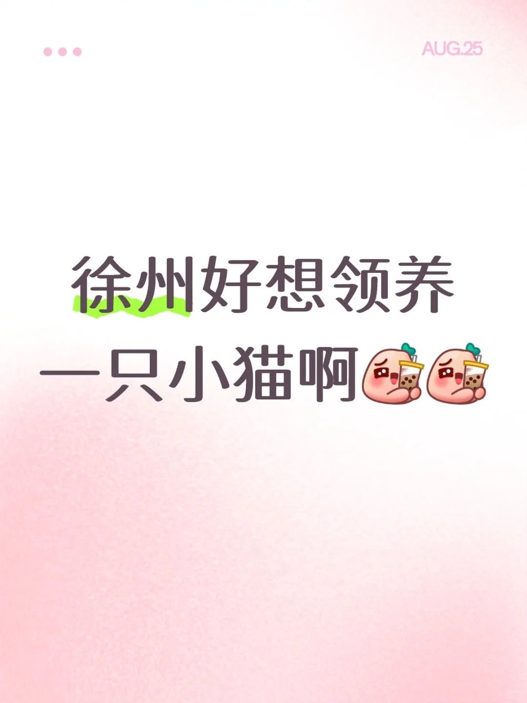 徐州好想领养一只小猫啊
