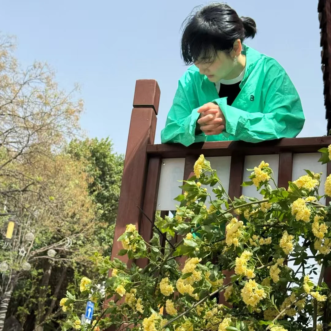 秋风戏马 西楚彭城 打卡徐州 撸串撸串