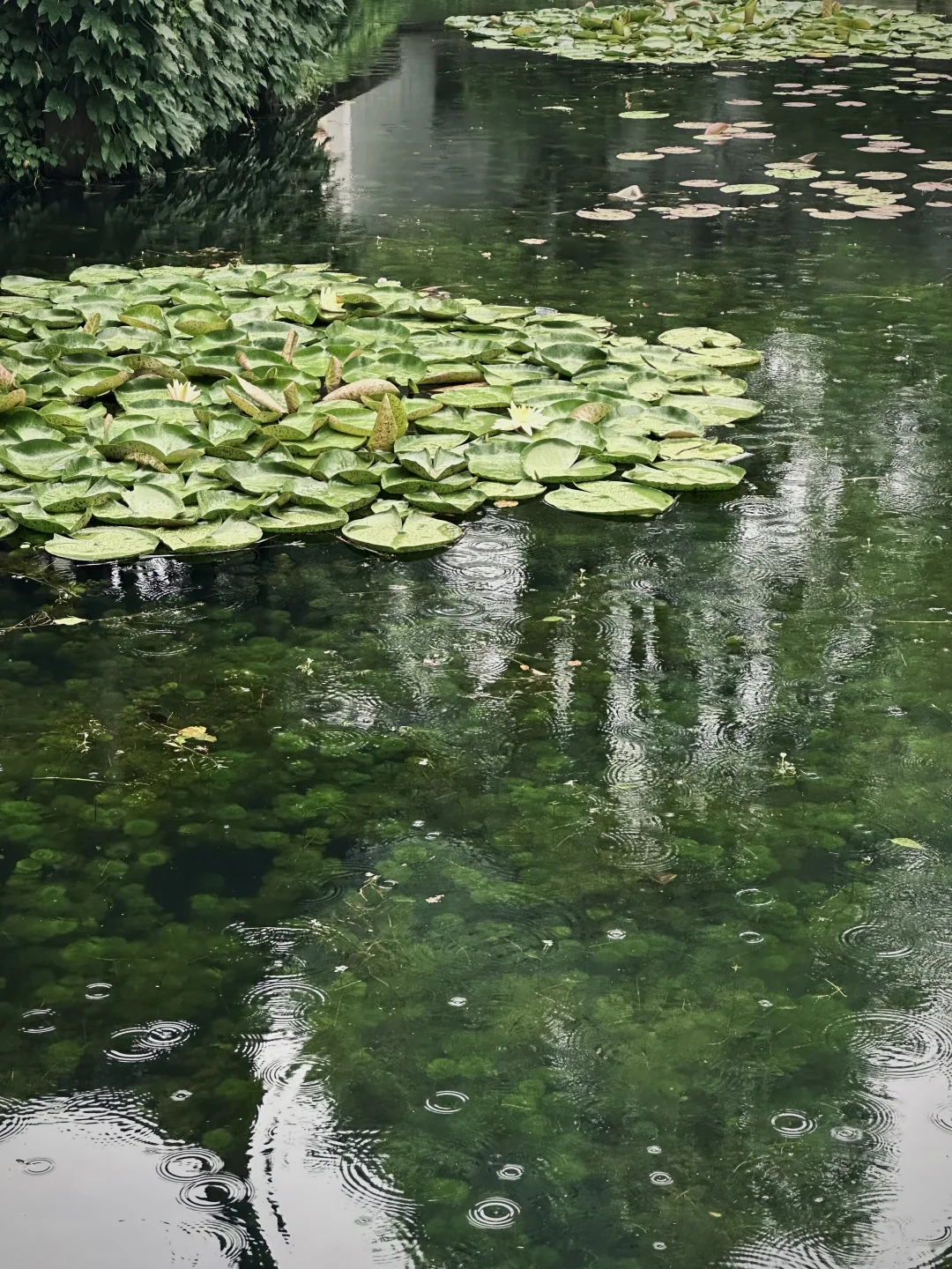 记录烟雨江南
