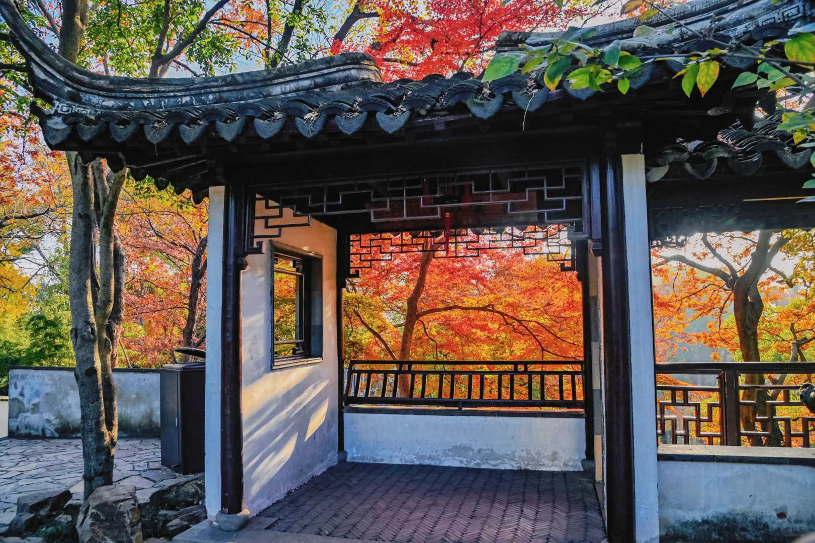 虎丘实况11.29