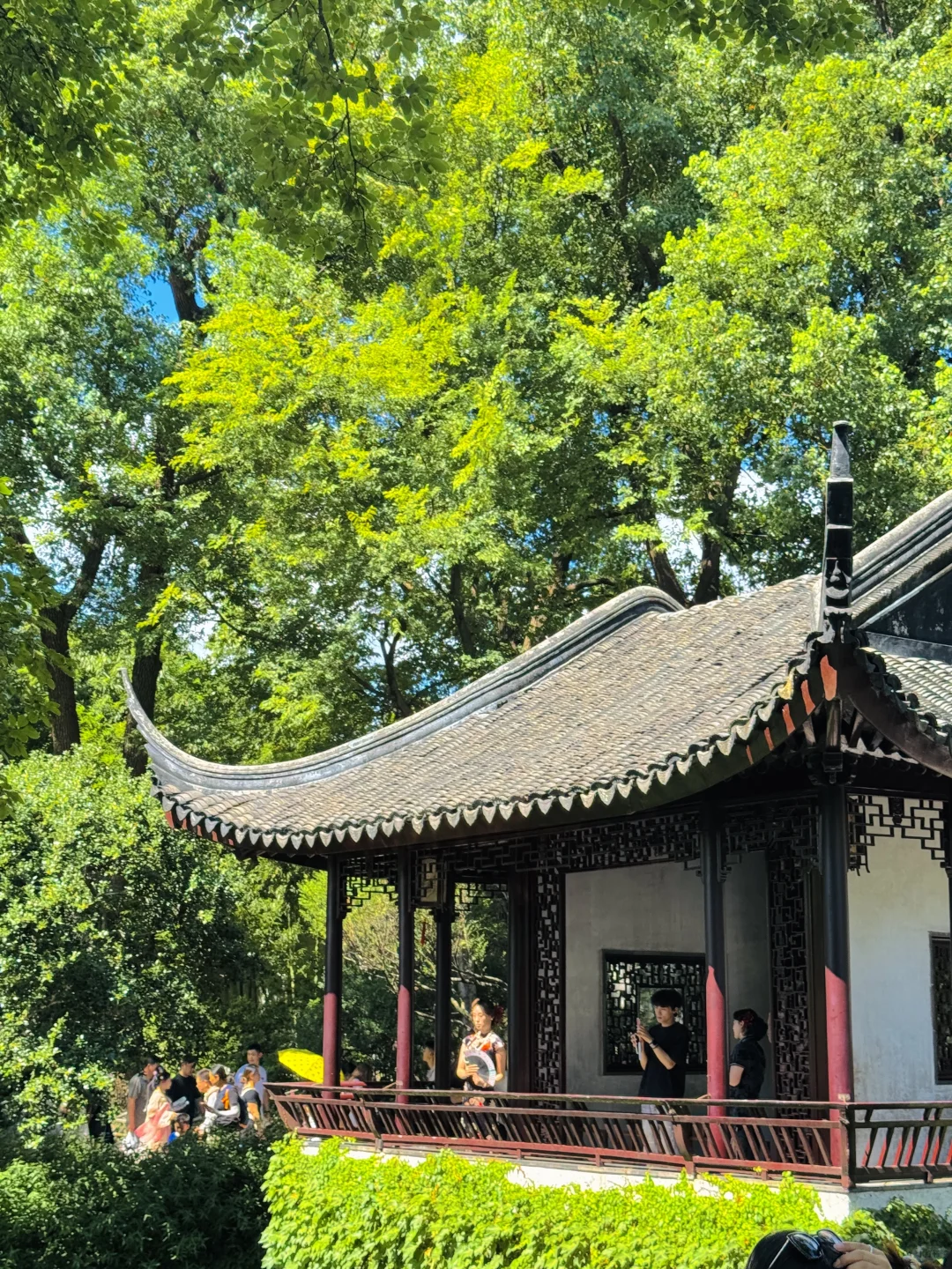 苏州｜拙政园
