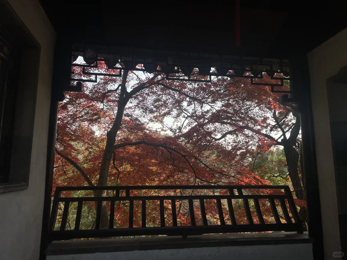 苏州 疯了