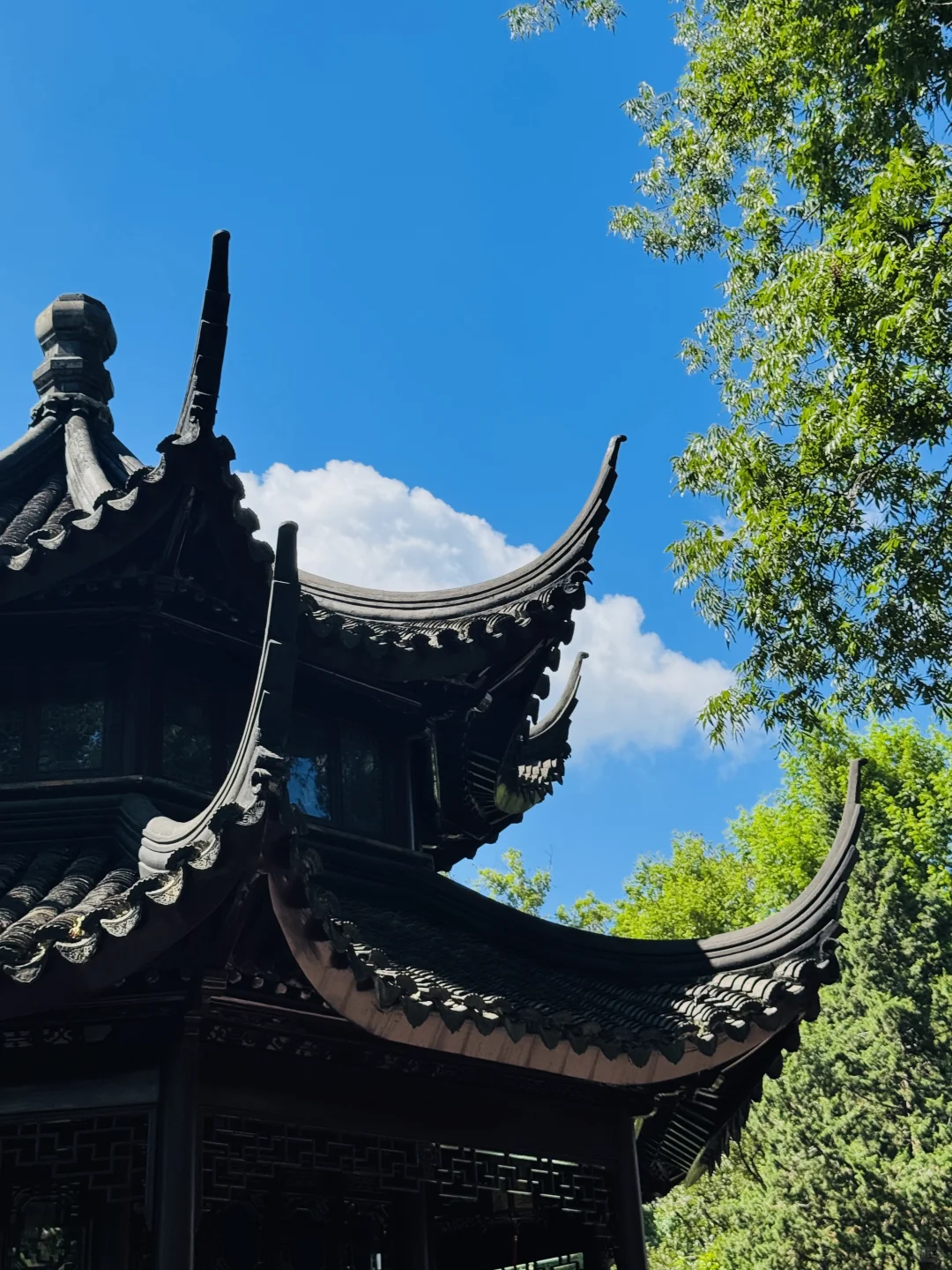 苏州｜拙政园