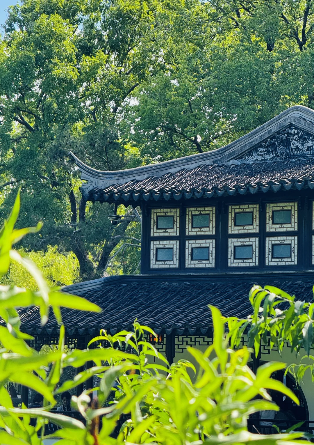 苏州｜拙政园