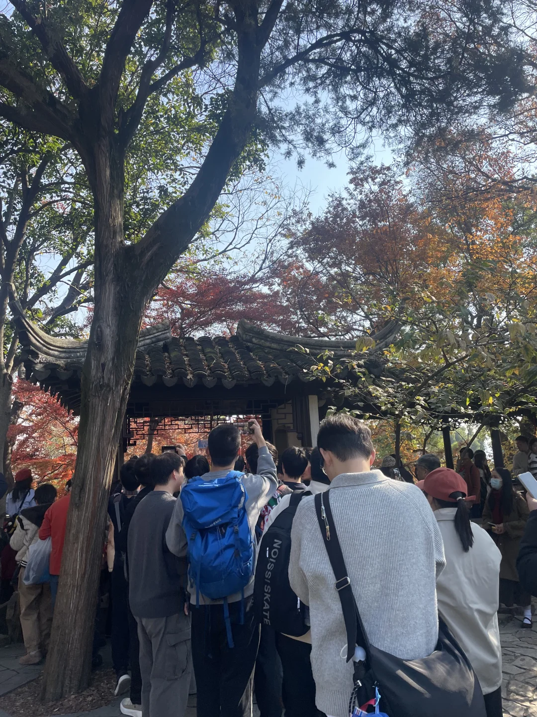 苏州 疯了