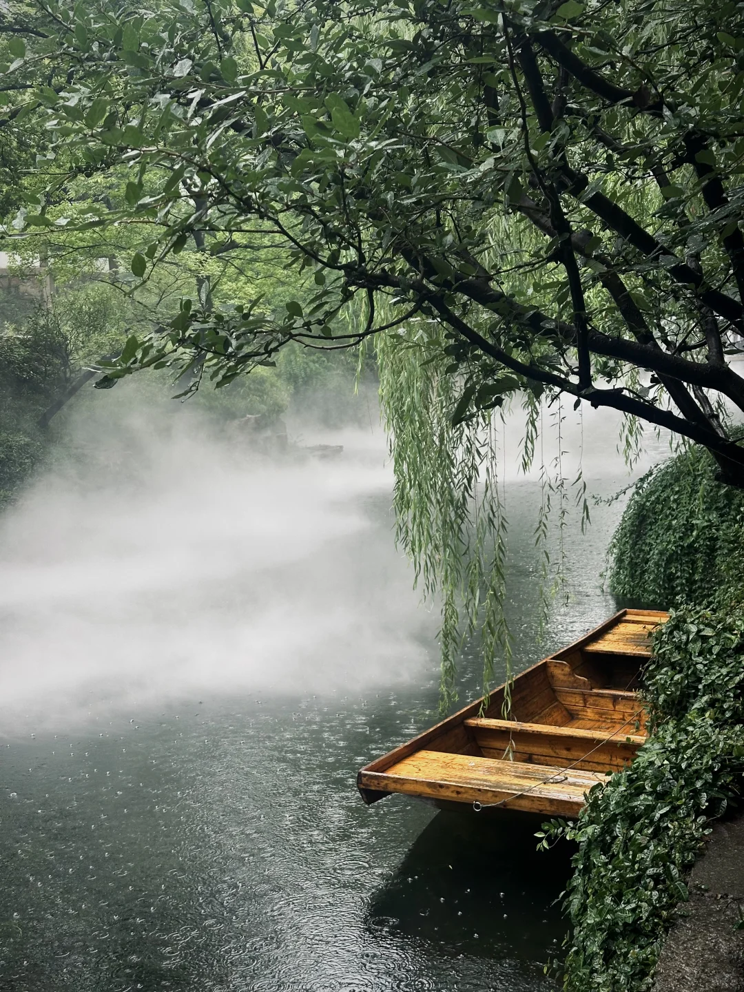 记录烟雨江南