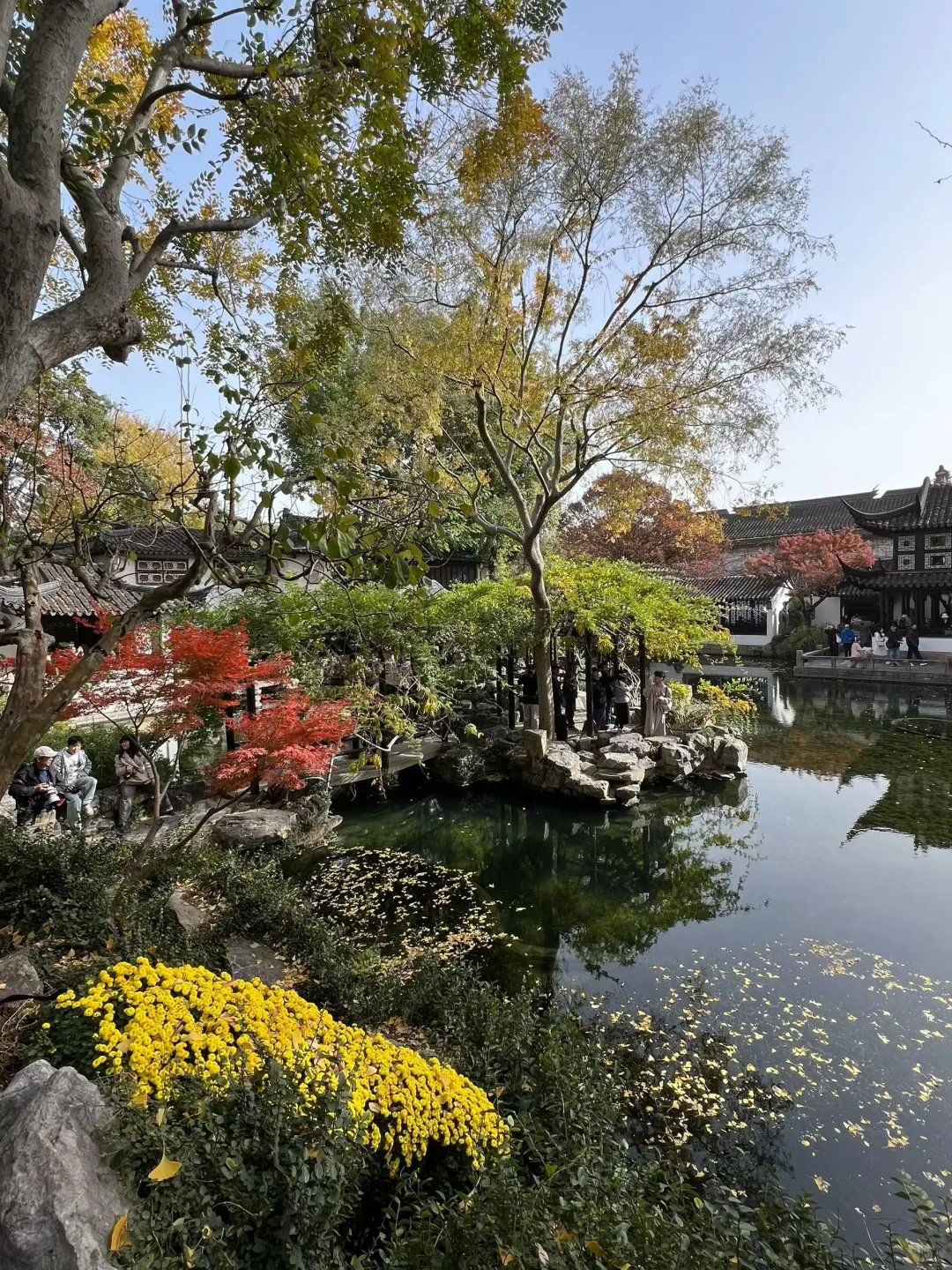 上有天堂、下有蘇杭🌷🌱🌸🍃🍁💐