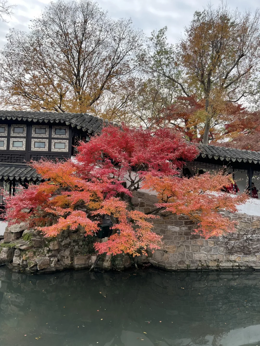 上有天堂、下有蘇杭🌷🌱🌸🍃🍁💐