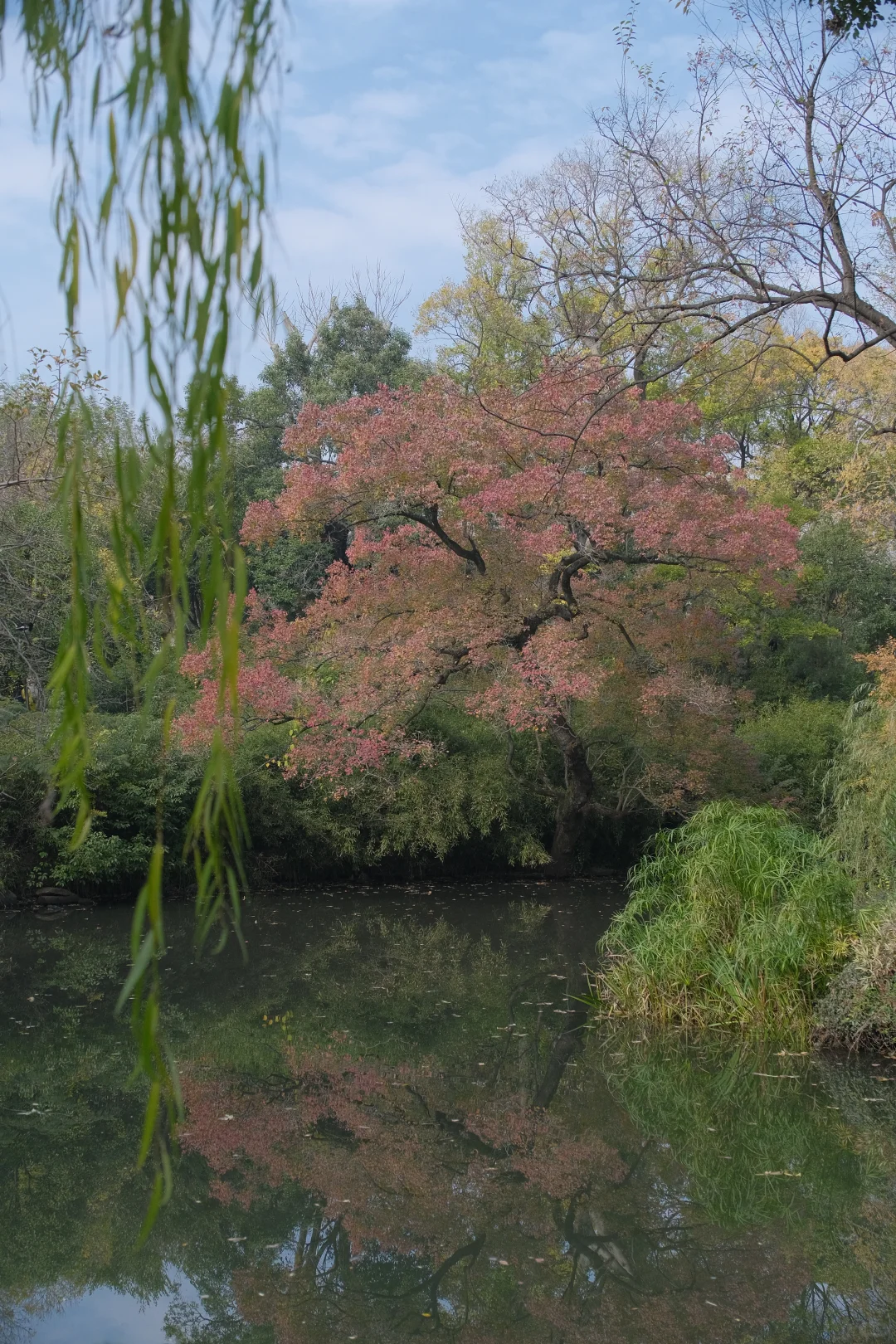 中国四大名园之一，拙政园🍂