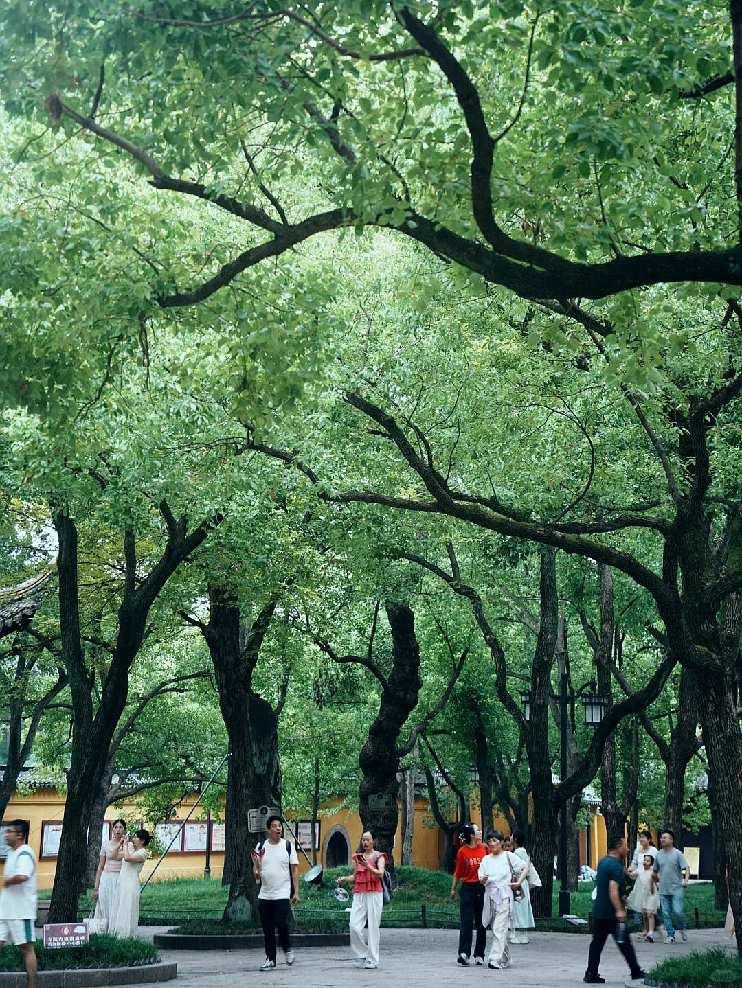 苏州｜一步一景，尽显江南诗意