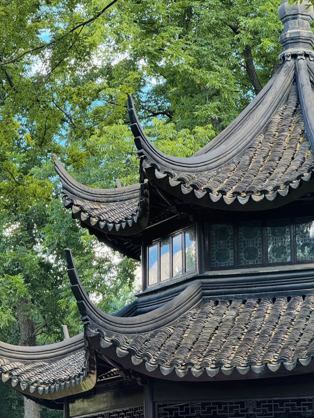 苏州｜拙政园