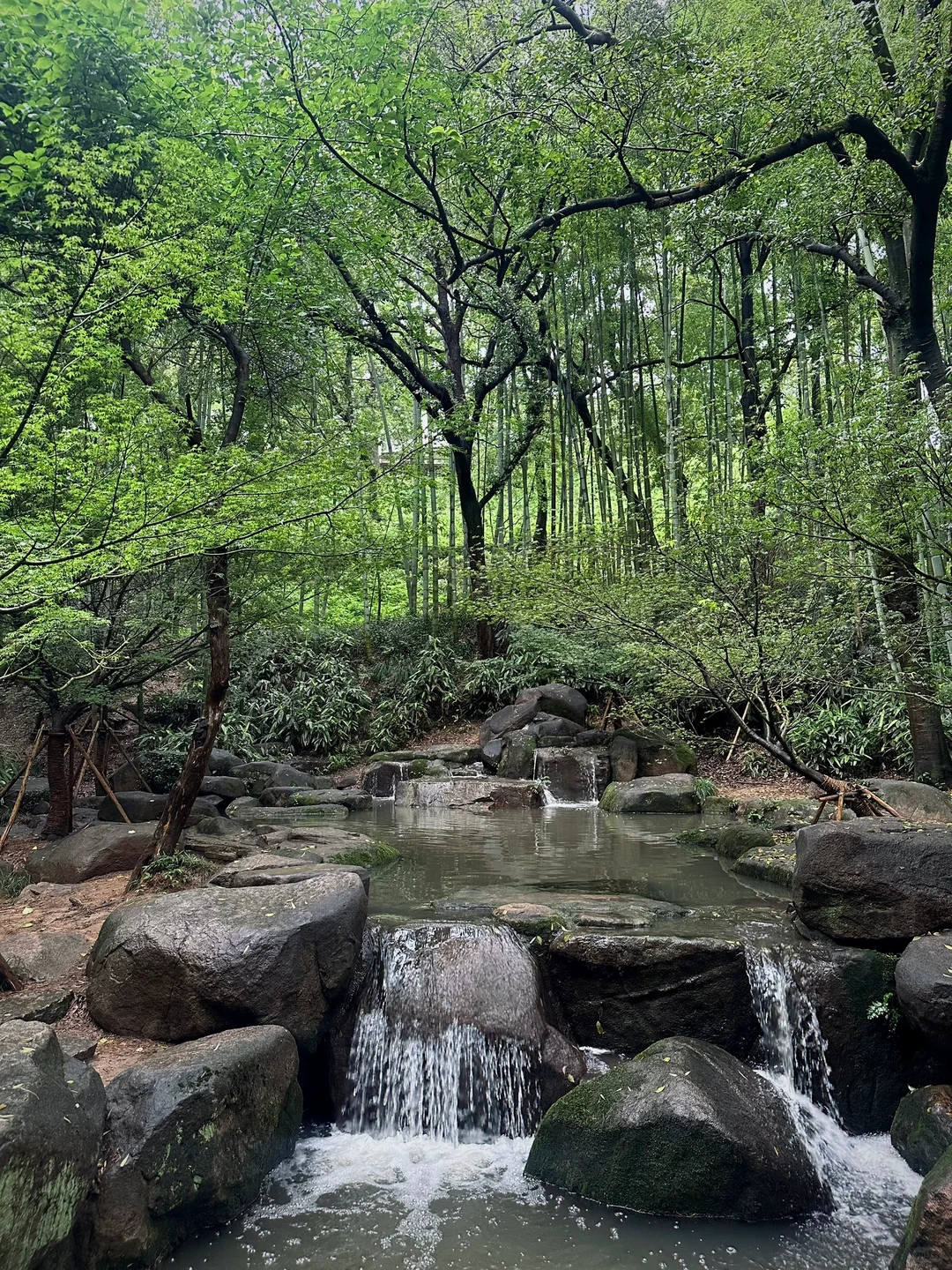 记录烟雨江南