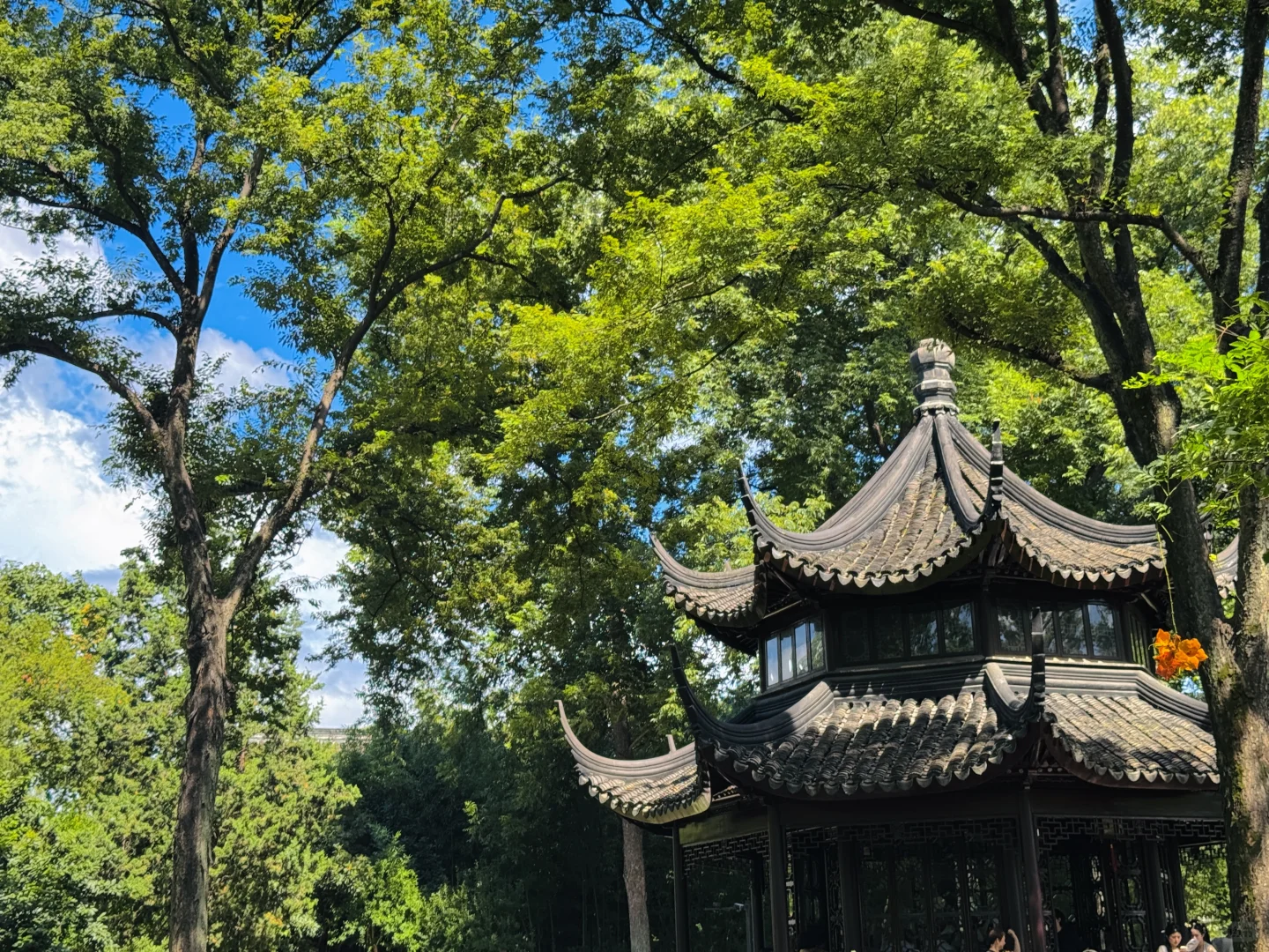 苏州｜拙政园