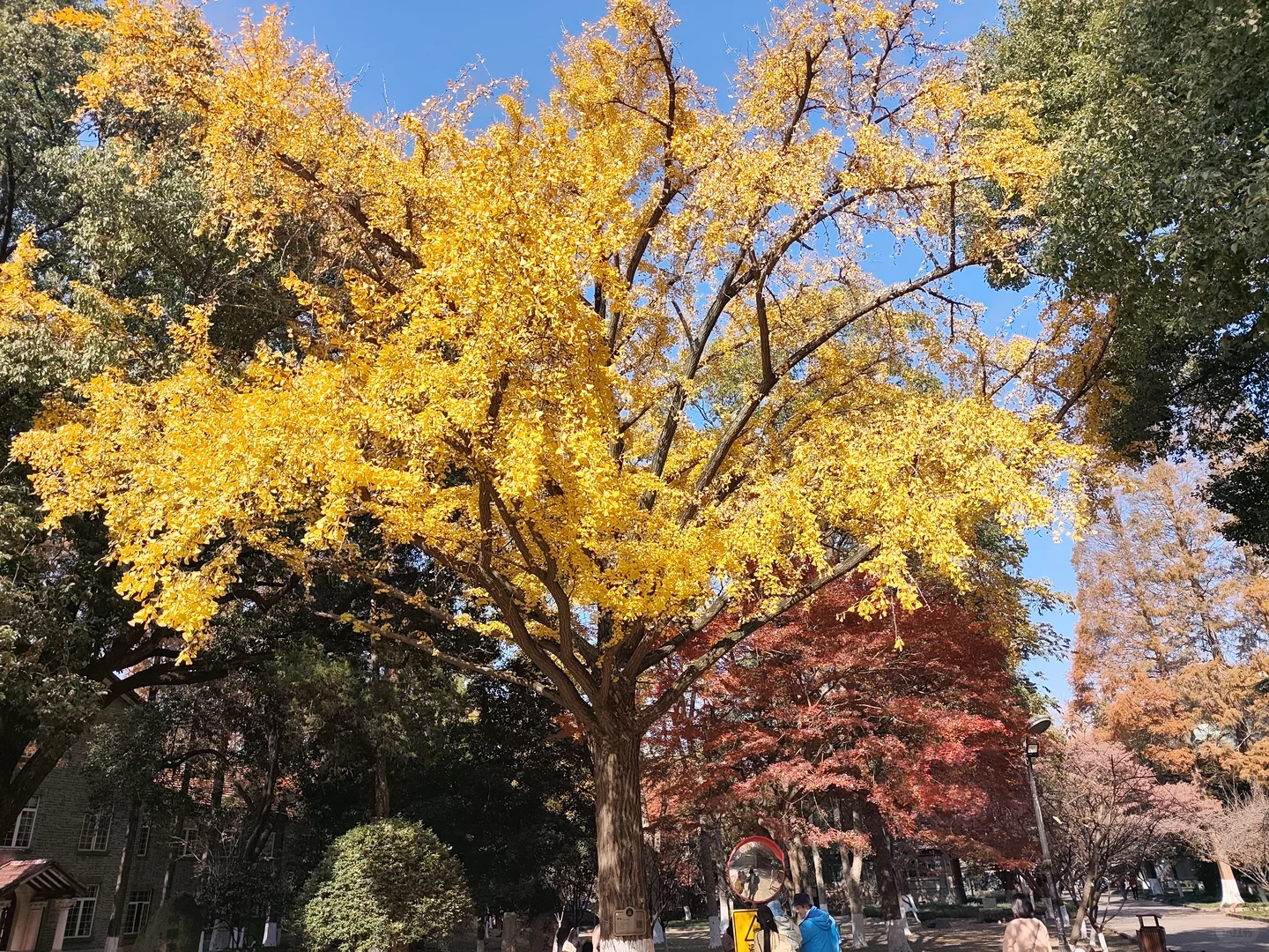 周末，来看下苏州大学