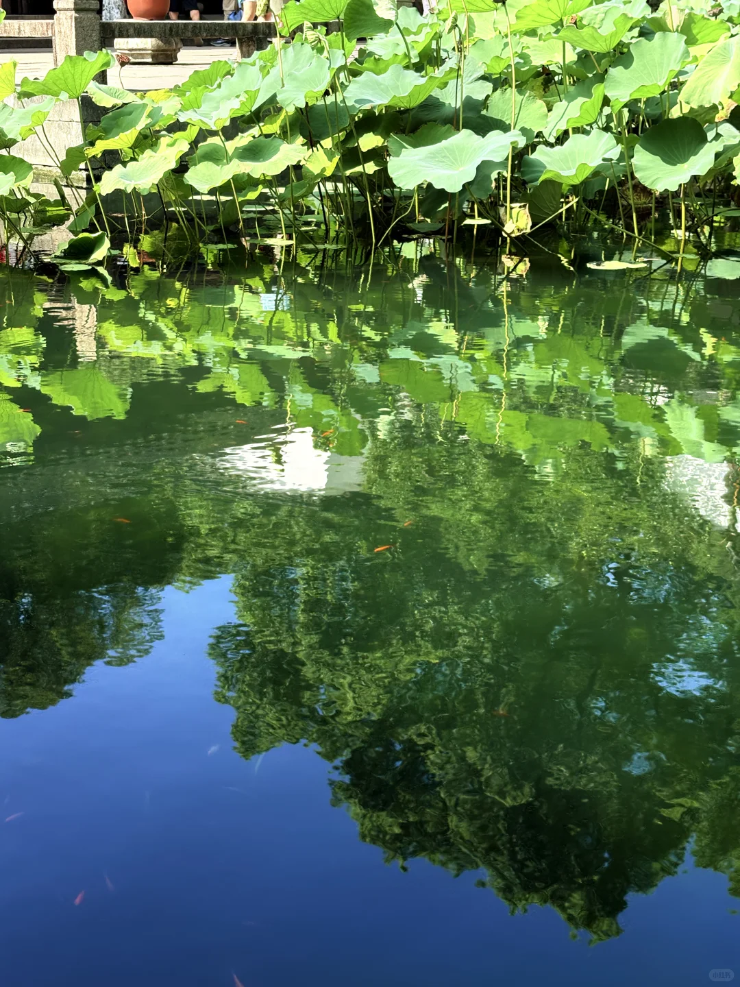 苏州旅行指南