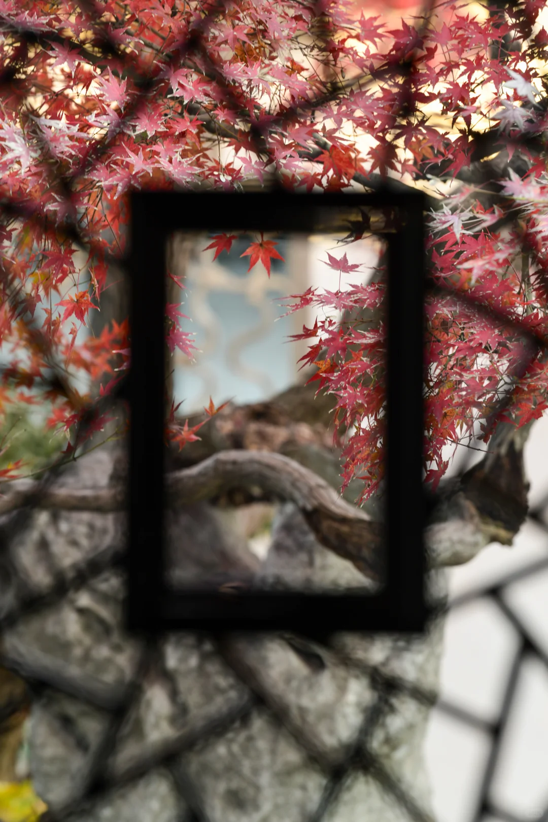 【苏州】留园