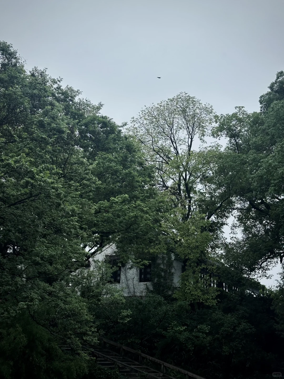 记录烟雨江南