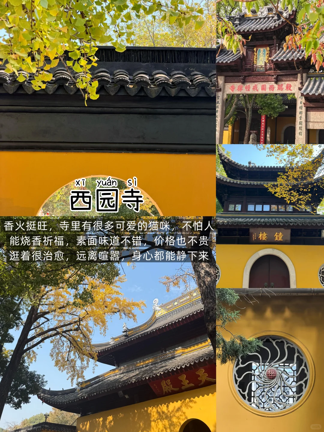 苏州📍两日游丨懒人版不走回头路逛吃攻略