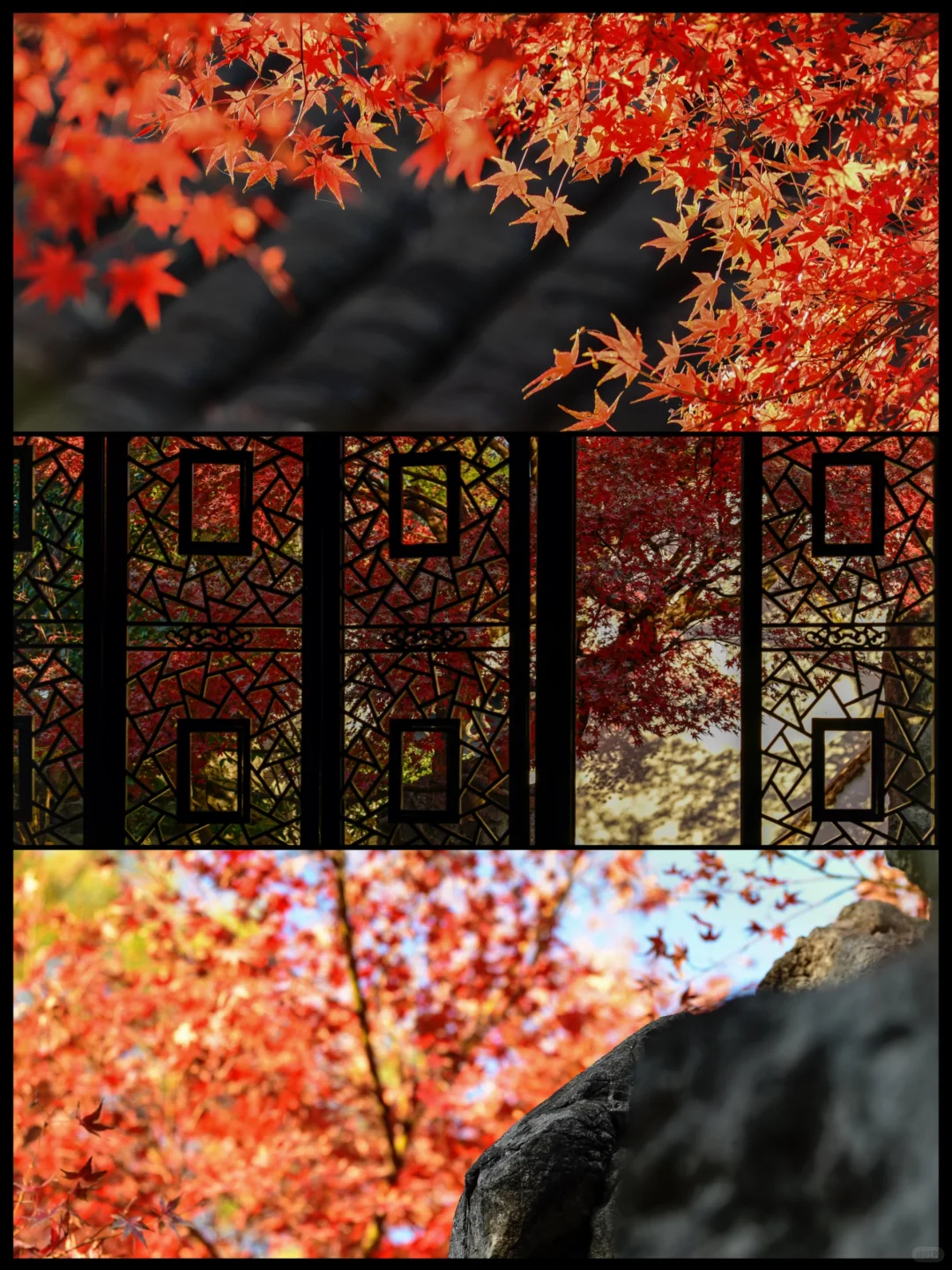 【苏州】留园