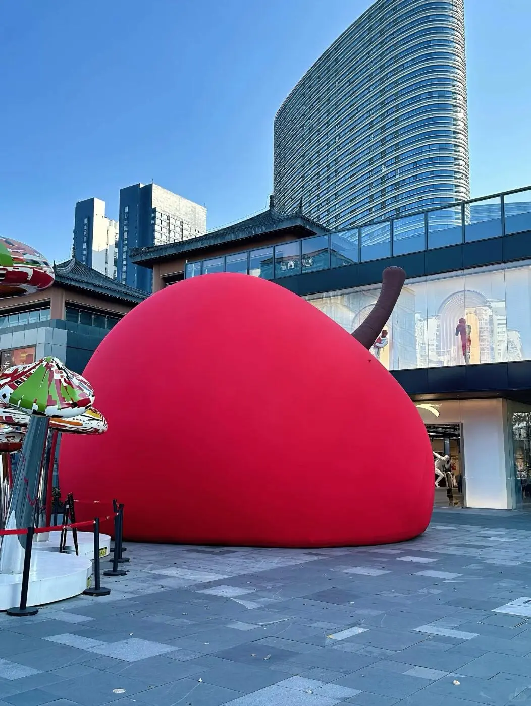 徐州❗️被苹果🍎痛城狠狠“硬控”了~