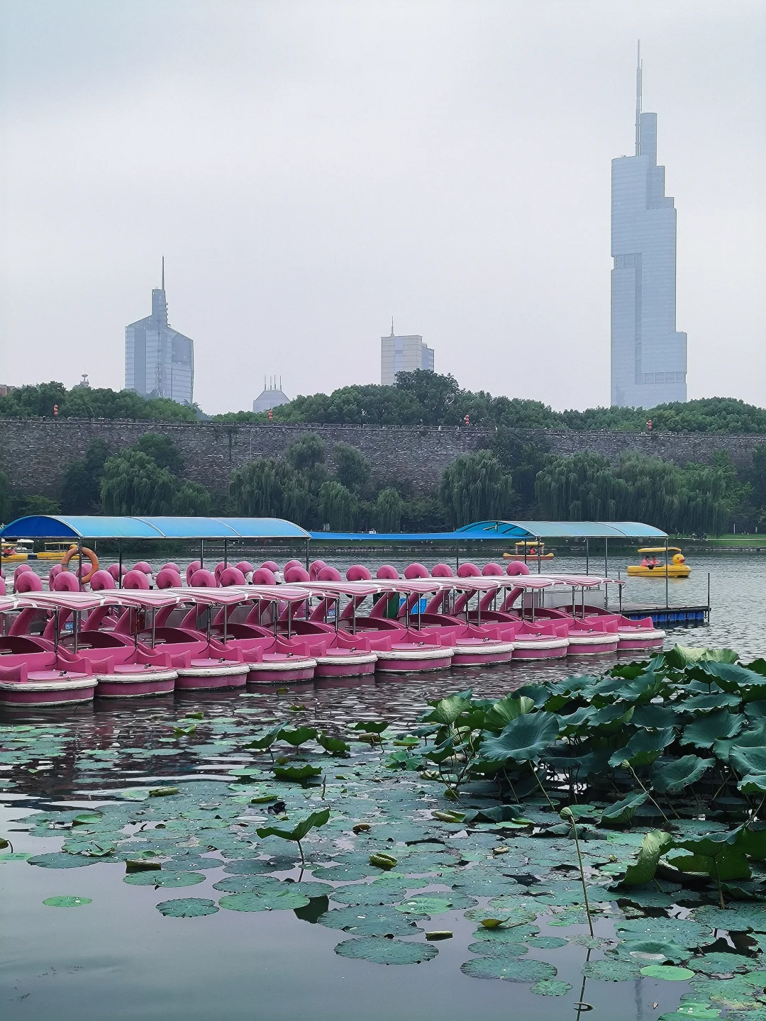 📍南京旅游🎶 🕊️|朋友圈文案