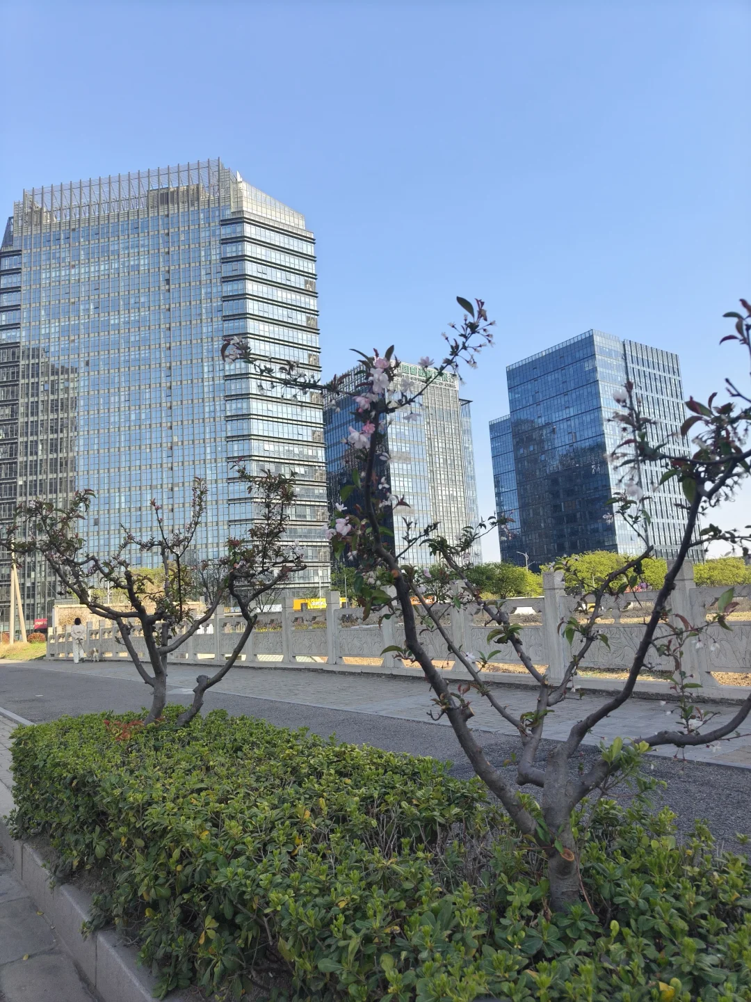 徐州新城区城建真美