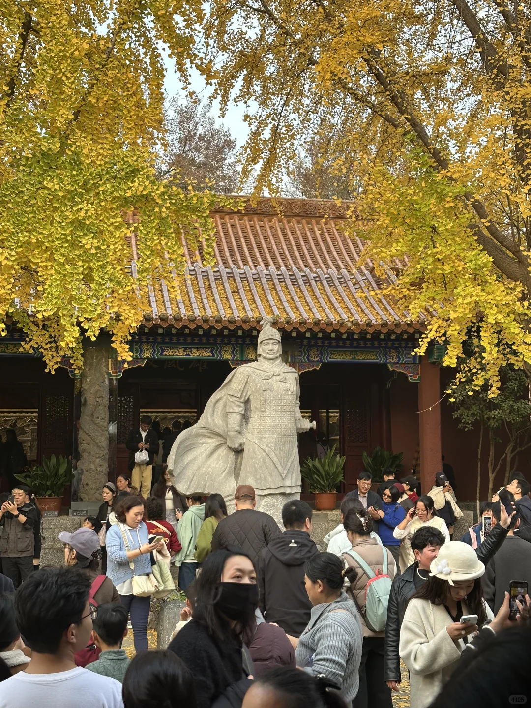 一个普通游客眼里的徐州（青岛出发🚄周末游）