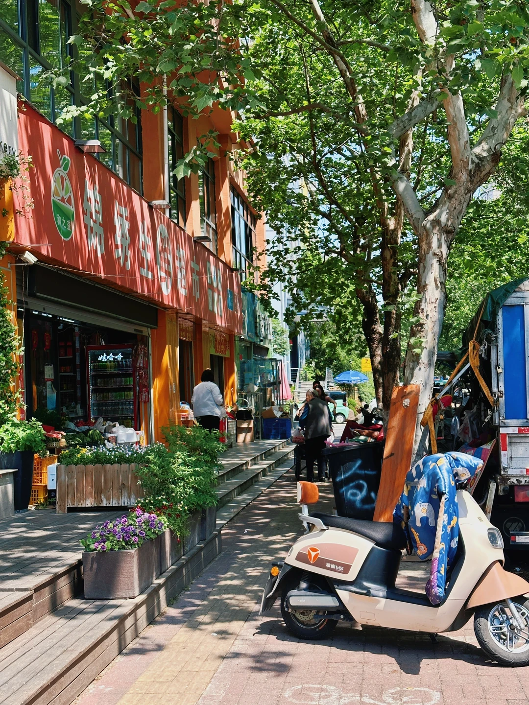 评论区说这是徐州最舒服的街道？