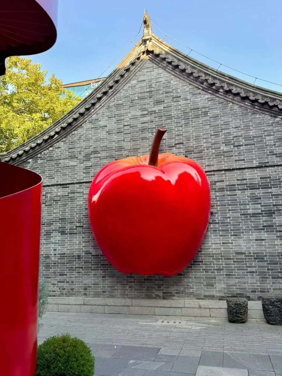 徐州❗️被苹果🍎痛城狠狠“硬控”了~